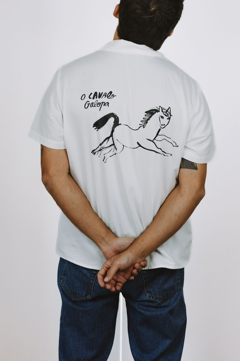 O CAVALO GALOPA